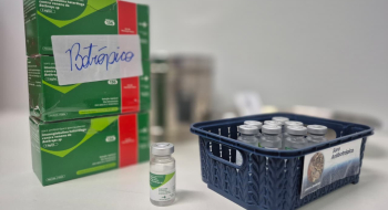 Saúde alerta para riscos e orienta sobre primeiros socorros em casos de picadas de cobra